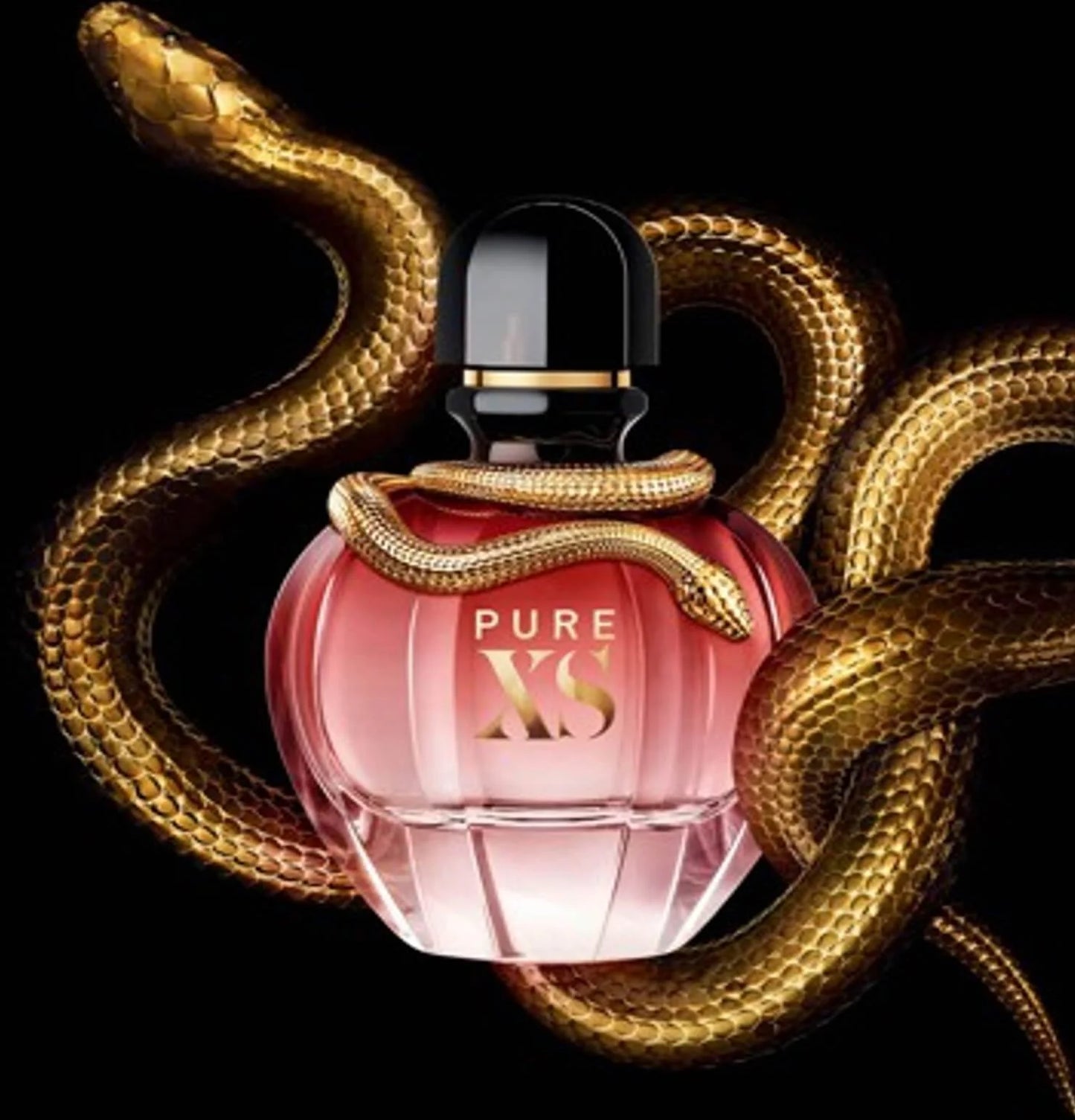 Pure xs Paco Rabanne
