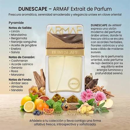 Dunescape Armaf para hombres EDP 100 ML